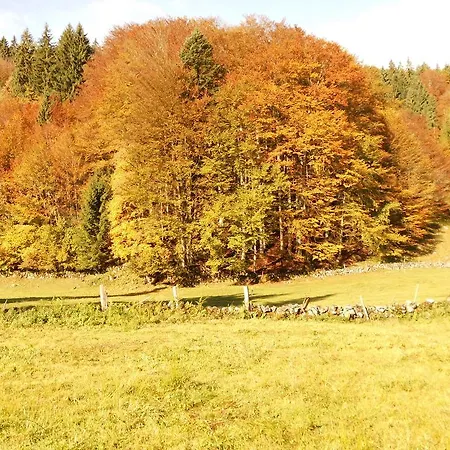 Windhagbauer * Saint Wolfgang