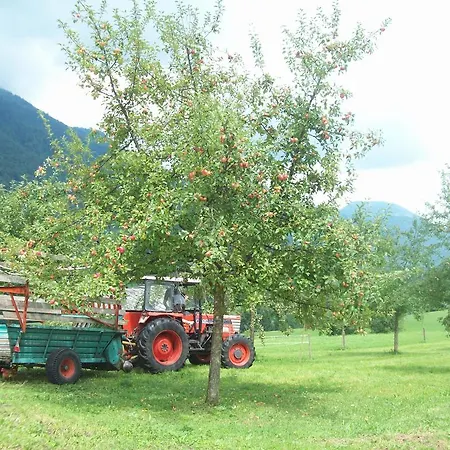 Windhagbauer Çiftlik konaklama Saint Wolfgang